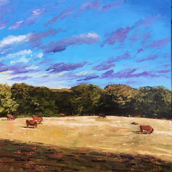 Grazing Fields , Penwith