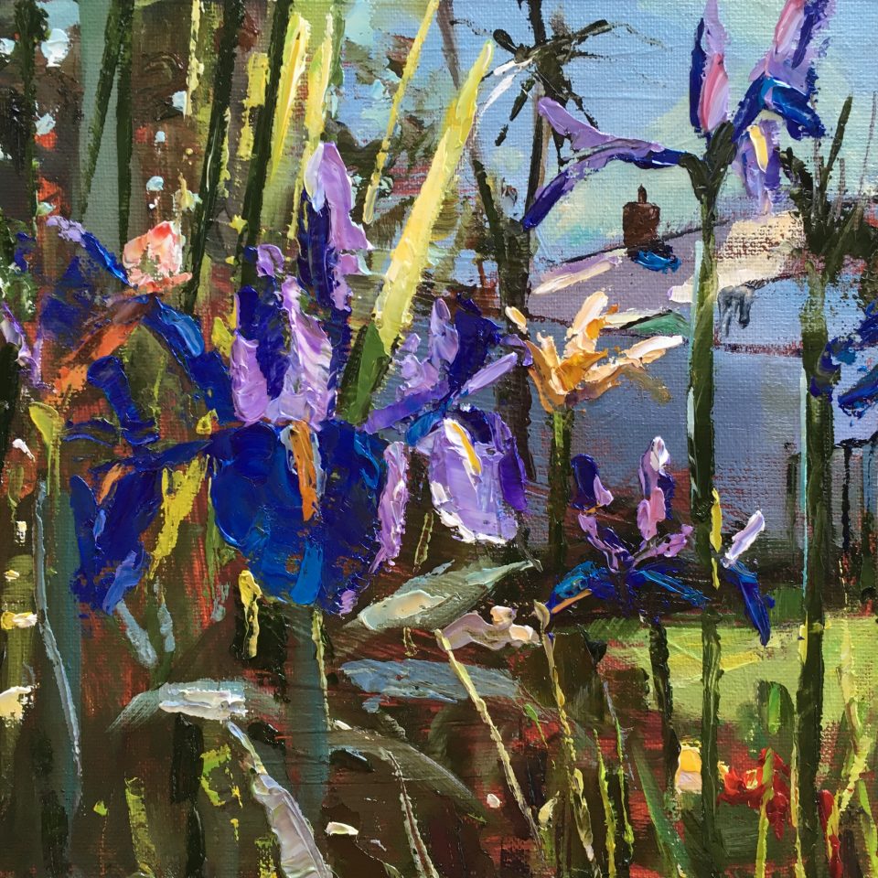 Irises What We Grown