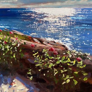 View from Prussia Cove