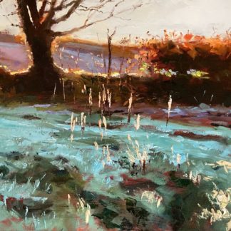 First Light Chyenhal