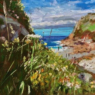 Wiildflowers Porth Nanven