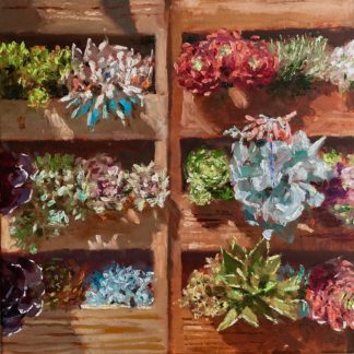 Tremenheere Succulents