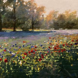 Wildflowers The Level Brighton