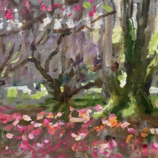 Magnolia Blossom Trewidden