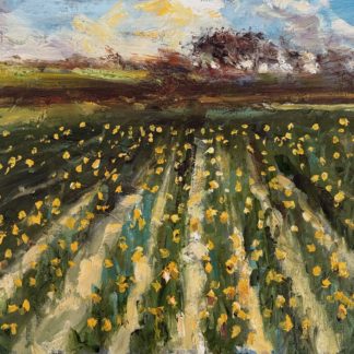 First Daffs of January Plein Air