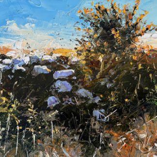Gorse Wall, Tregonning Hill