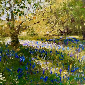Sancreed Bluebells 2