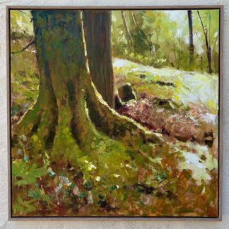 Treffry Woodland 3