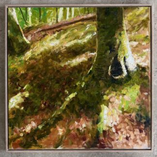 Treffry Woodland 2