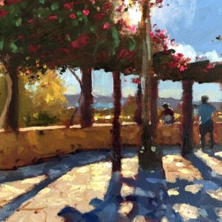 Bougainvillea Polis Cyprus